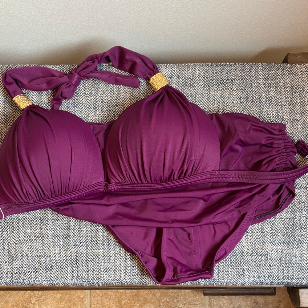Venus Plum Bikini with Gold Accents